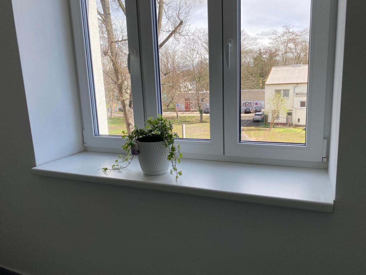 Apartamento Perla Hradce Hradec Králové Exterior foto